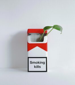 stoppen met roken allen carr review