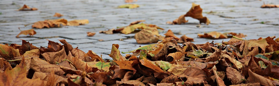 waarom herfst kut is