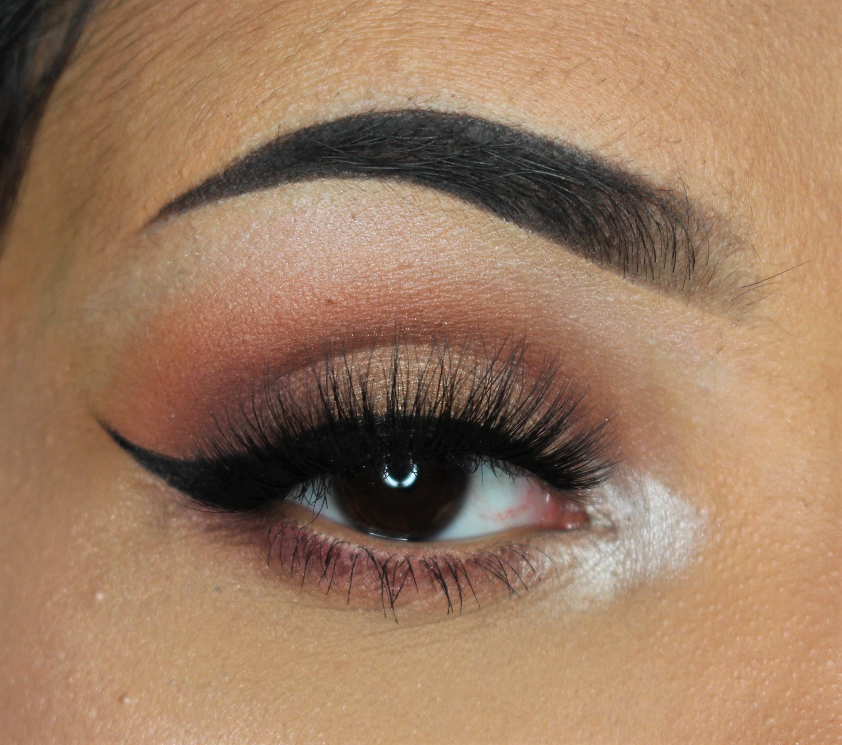 Annytude Wary lashes | Review & make-up look (Anastasia Modern Renaissance palette)