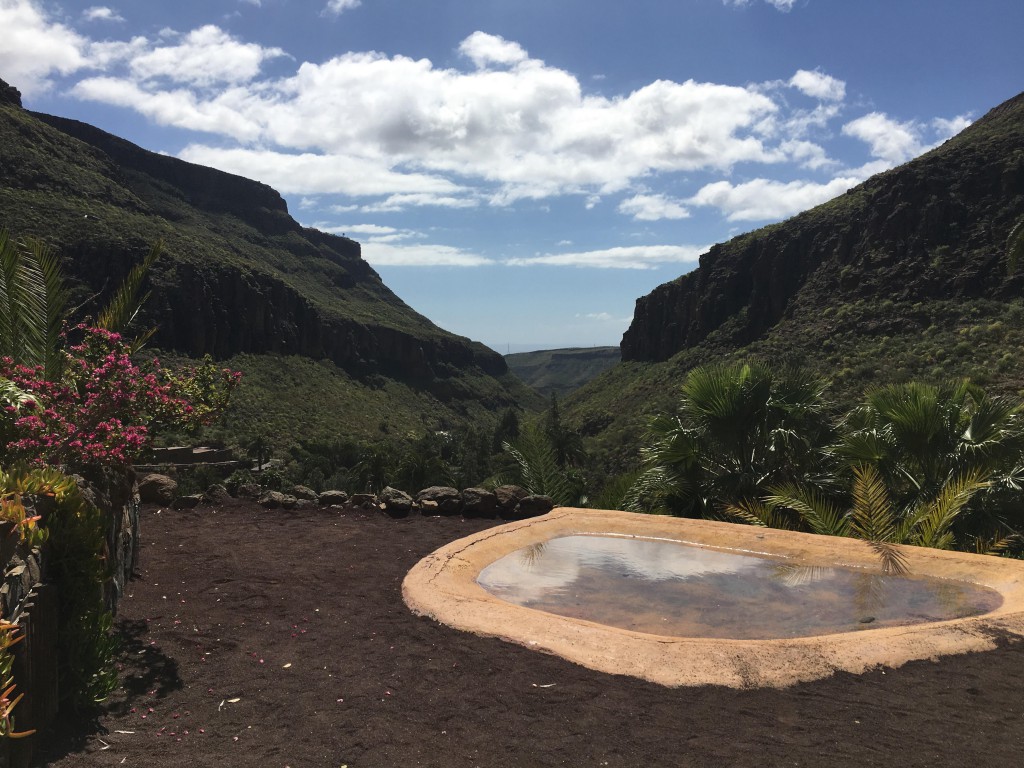 palmitos gran canaria vakantie dierentuin