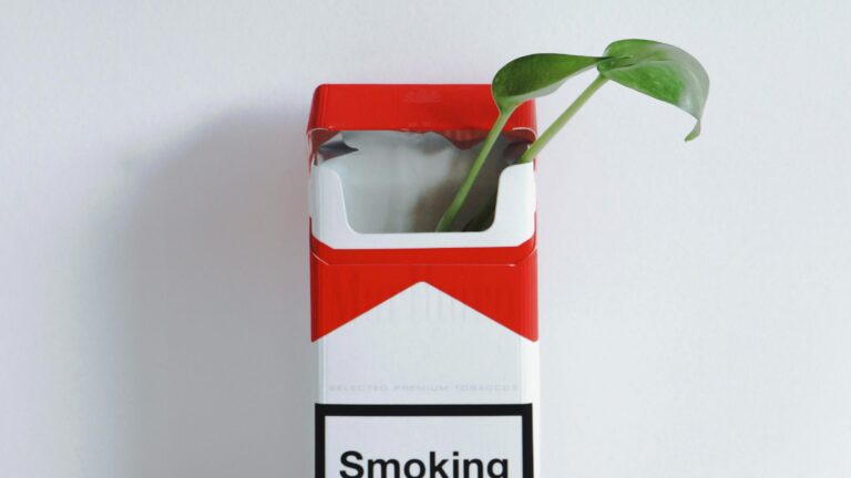 ‘Stoppen met Roken’ van Allen Carr review – Werkt een boek écht zo goed?