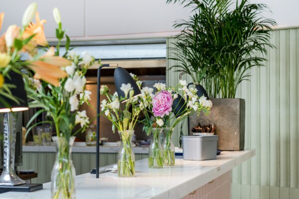Mooie Planten & Bloemen in huis, maar dan Zónder Onderhoud!